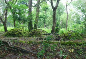 Makam Bupati Bojonegoro Yang Tak Terjamah